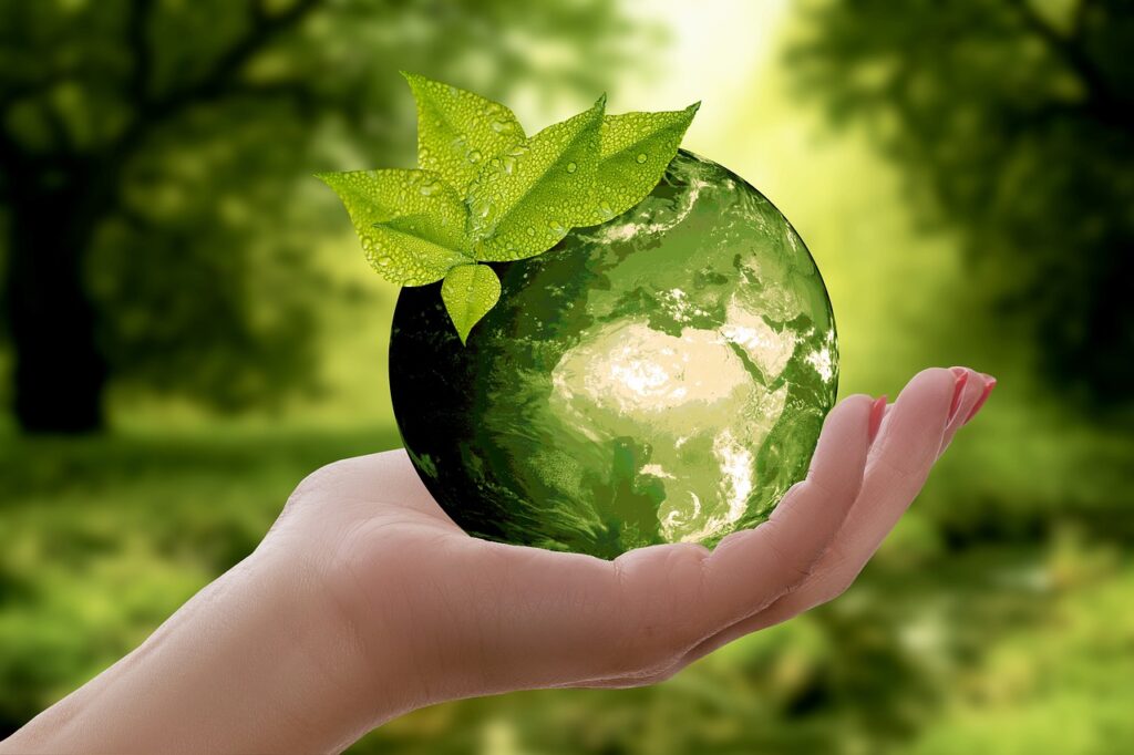 Eco-Friendly Solution