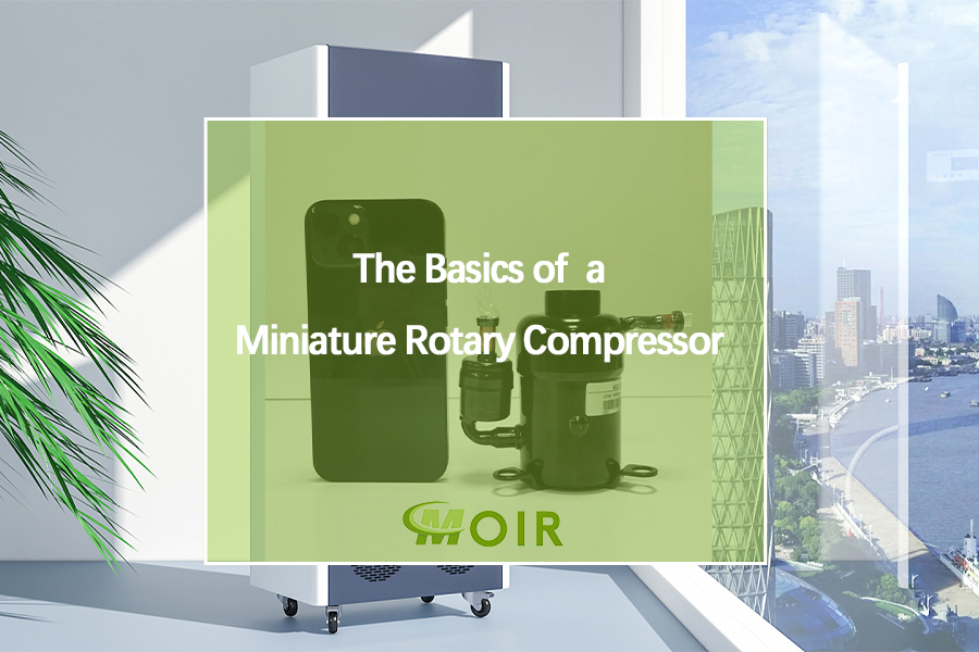 The Basics of a Miniature Rotary Compressor